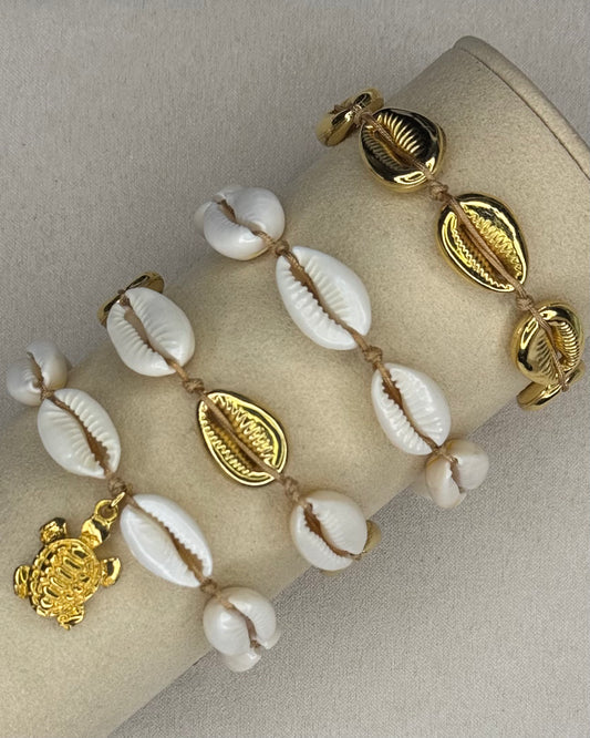Shells